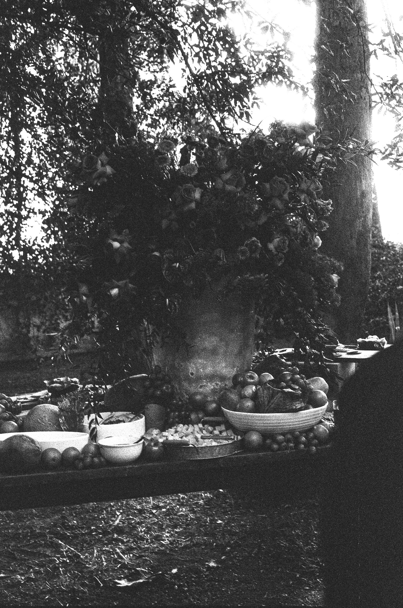 Film 2